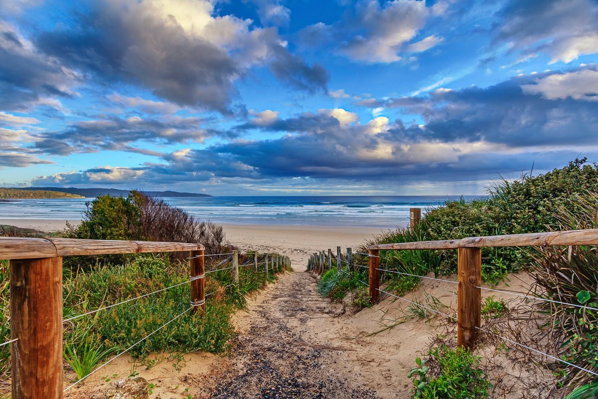 The 5 Best Campsites Near Surf Beaches in NSW - Flatrock Surf