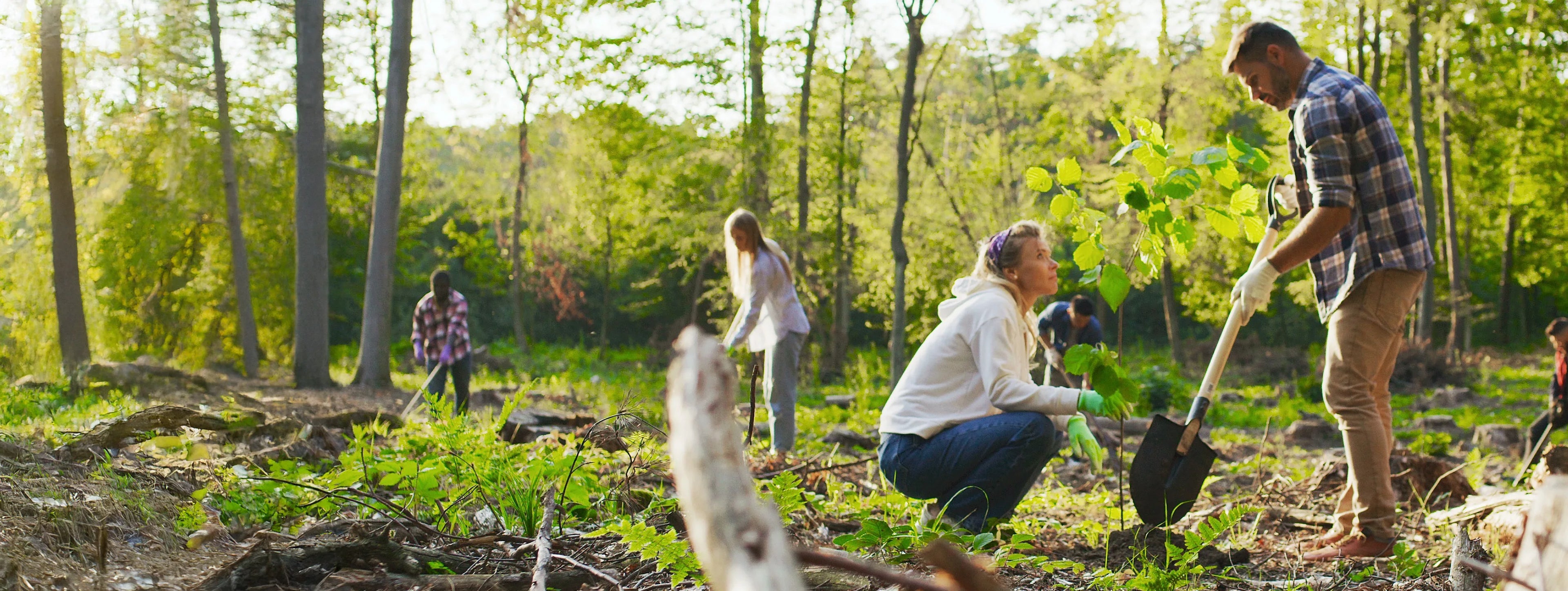 People planting young trees in a field, symbolizing Flatrock Surf's donation to One Tree Planted charity.